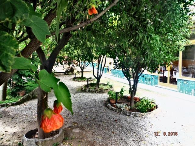 Hotel Villa Flora Больяско Экстерьер фото